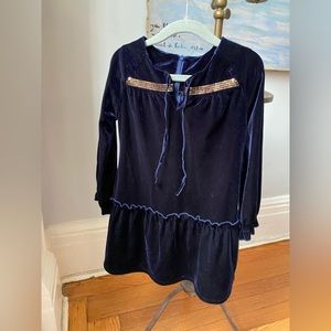 EUC Egg New York Velvet Dress